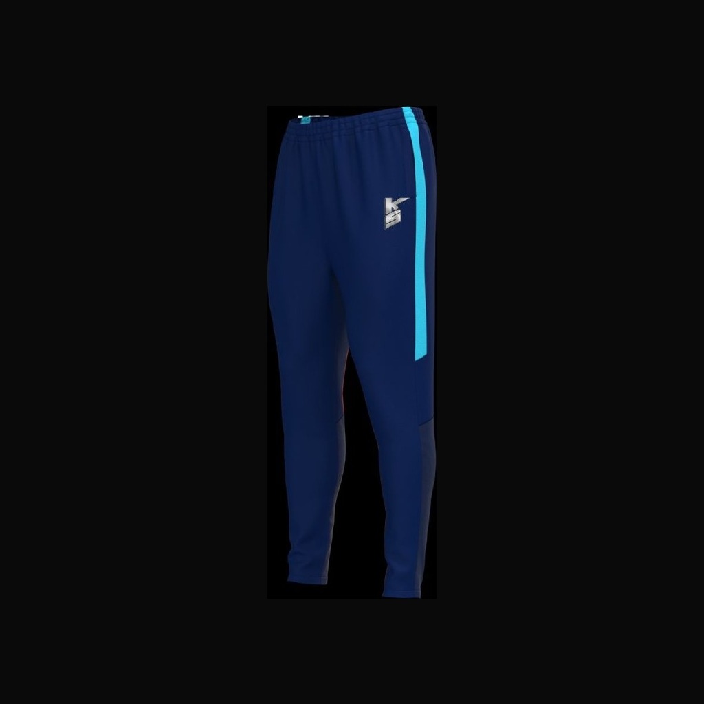 Брюки тренировочные Dryflow Navy · Blue — спереди